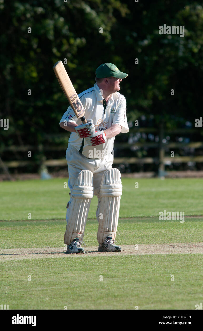 Au Grand Alne Village cricket Banque D'Images