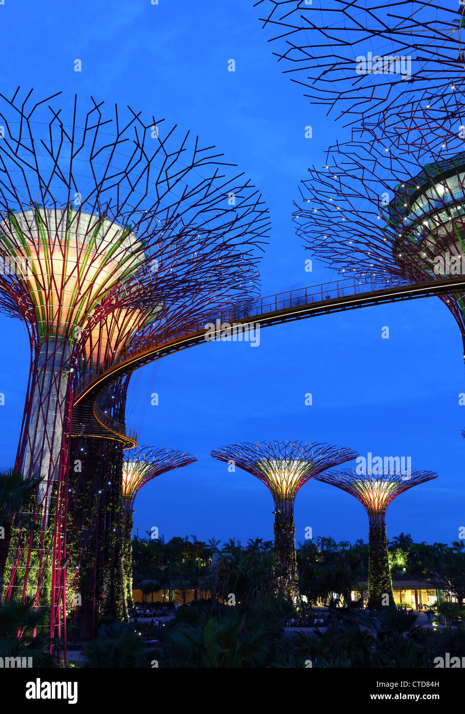 Supertree Grove au crépuscule dans les jardins de la baie, à Singapour. Banque D'Images