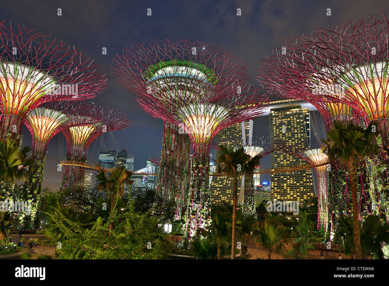 Supertree Grove au crépuscule dans les jardins de la baie, à Singapour. Banque D'Images