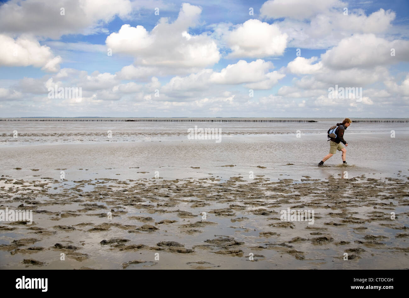 Homme marchant sur le fond de la mer, faire une randonnée à ameland appelé 'wadlopen' Banque D'Images
