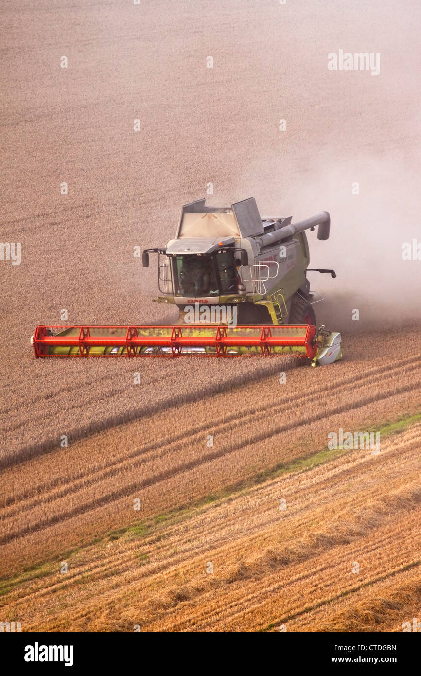 Une moissonneuse-batteuse la récolte d'un champ de blé Banque D'Images