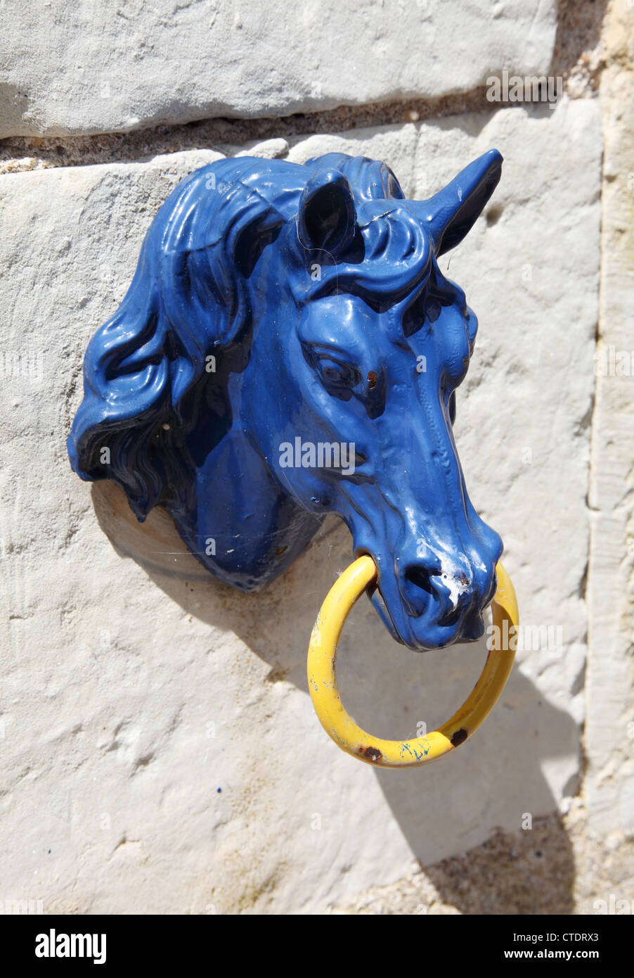 Le partage d'un cheval à l'anneau de Château de Montpoupon France Banque D'Images