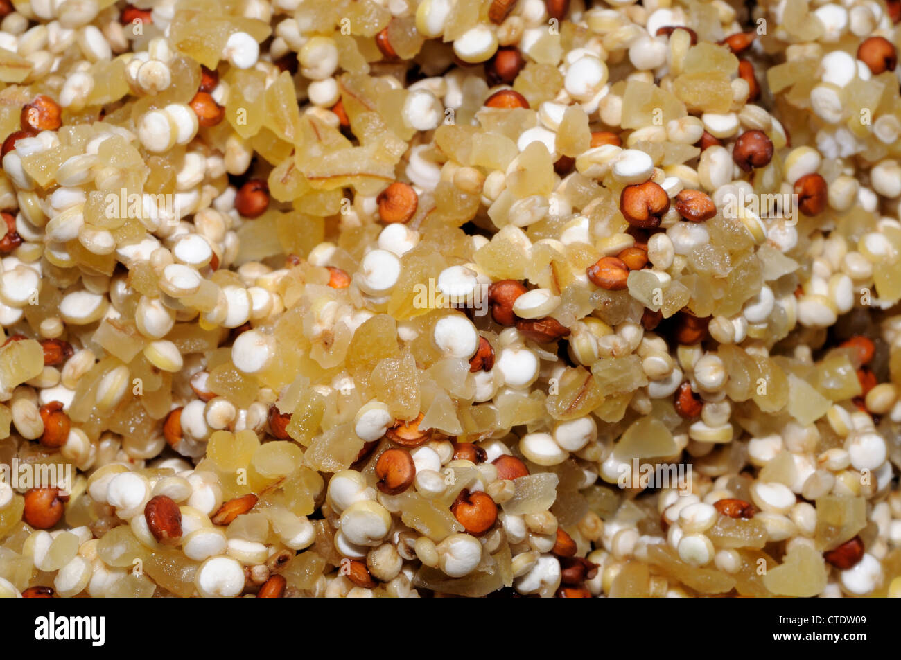 Sécher les graines de quinoa rouge et blanc mélangé avec du blé bulgare sur une plaque blanche. Banque D'Images