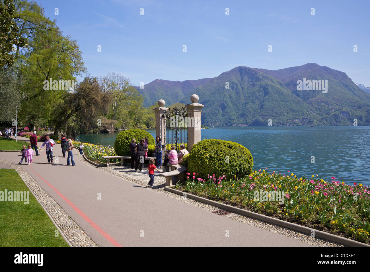 Vue du lac de Lugano de Parco Civico, Lugano, Lac de Lugano, Tessin, Suisse, Europe Banque D'Images