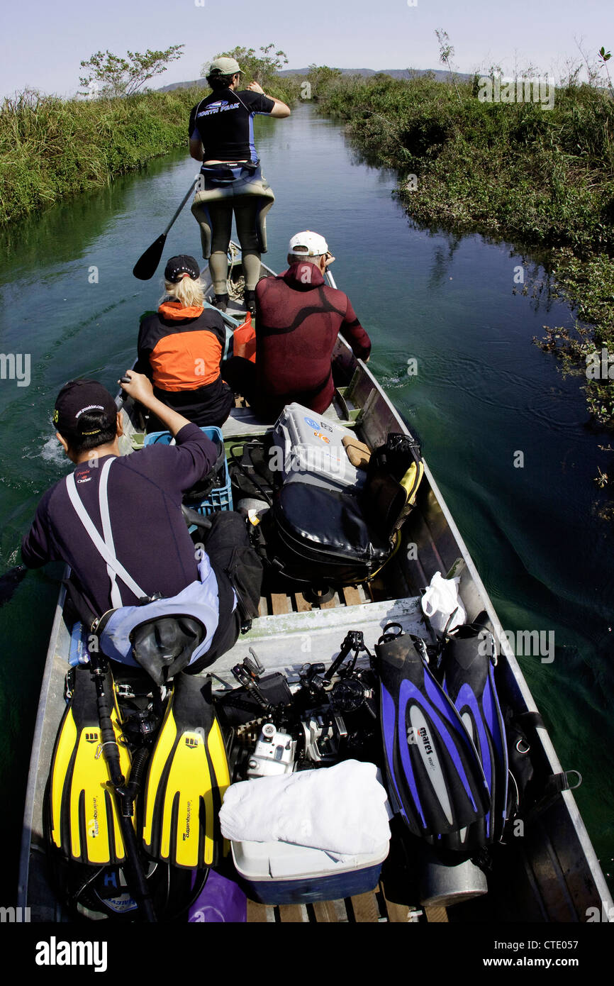 Les touristes en voyage de plongée, Rio Formoso, bonite, Mato Grosso do Sul, Brésil Banque D'Images