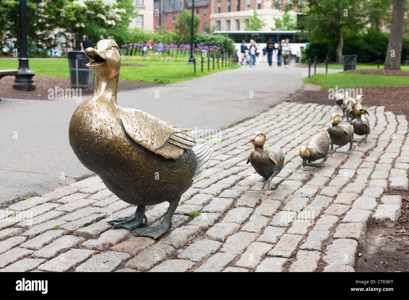 Faire place aux canetons, Boston Public Garden Banque D'Images