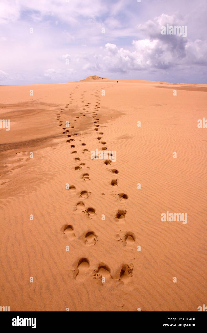 Des traces de pas dans le sable du sentier menant au sommet de la Dune du Pyla, Arcachon, France. Banque D'Images