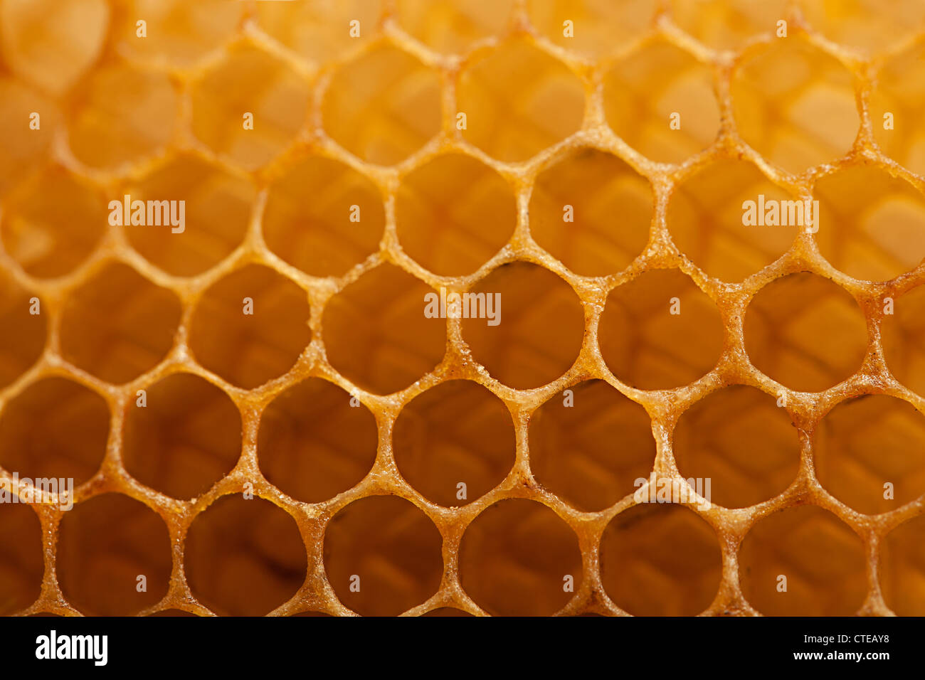 Close up de miel dans une ruche Banque D'Images