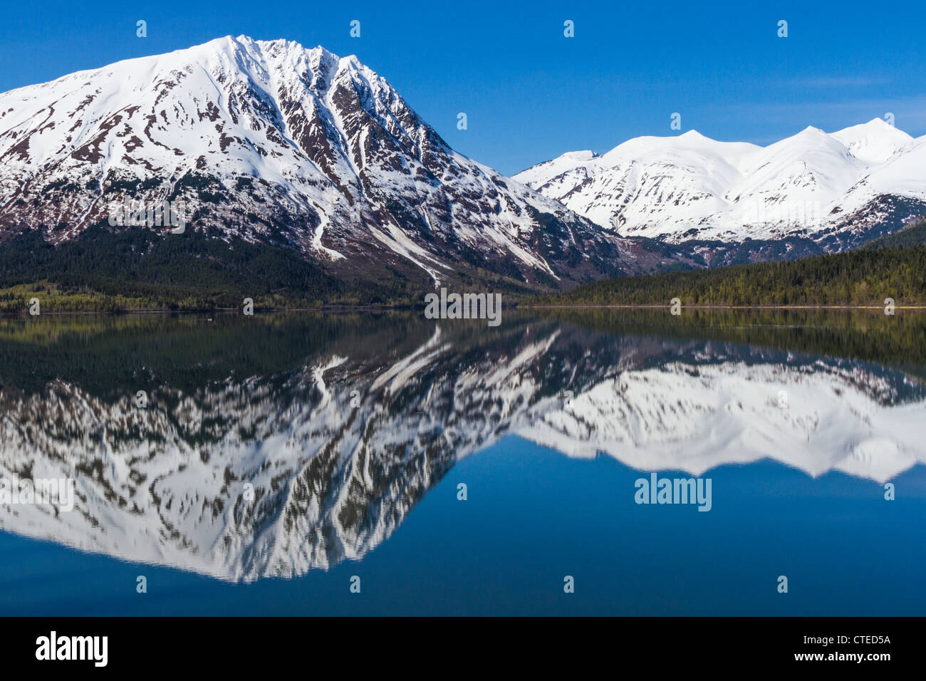 Réflexions de montagnes couvertes de neige de Kenai Lake sur la péninsule de Kenai, près de Seward, Alaska. Banque D'Images