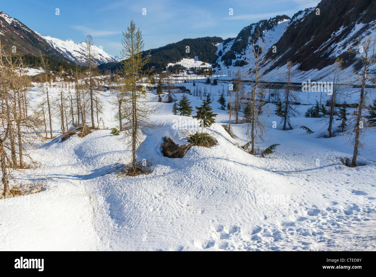 Neige et glace dans les montagnes de Chugach en Alaska. Banque D'Images