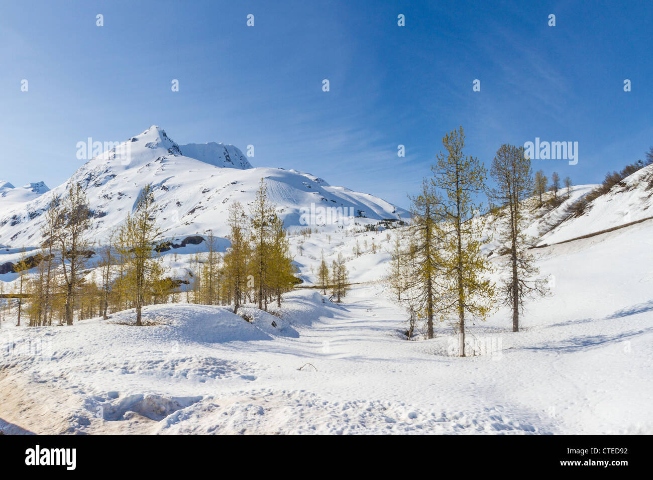 Neige et glace dans les montagnes Chugach de l'Alaska, vue depuis le train de chemin de fer de l'Alaska allant d'Anchorage à Seward, en Alaska. Banque D'Images