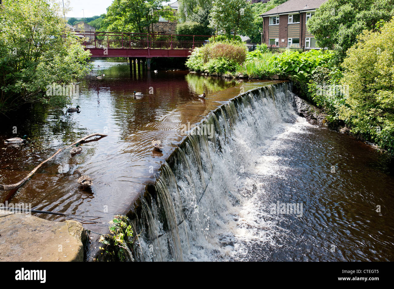 Weir sur la rivière Colne, Marsden, Yorkshire, UK. Banque D'Images