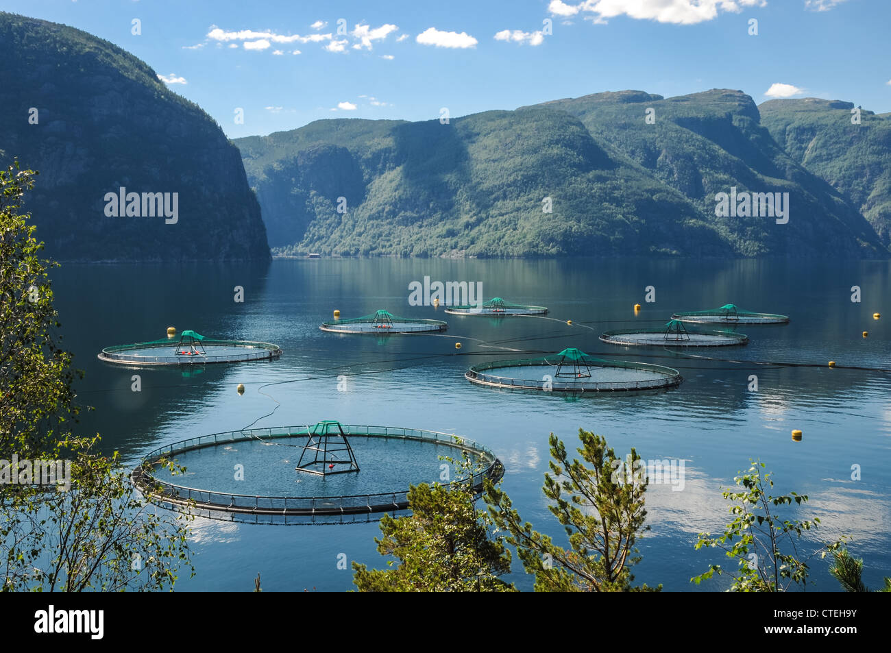 Une salmoniculture dans un fjord en Norvège Banque D'Images