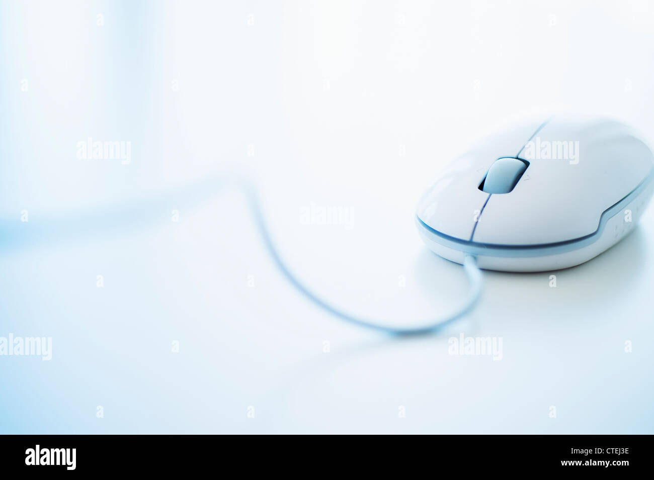 Studio shot of computer mouse Banque D'Images