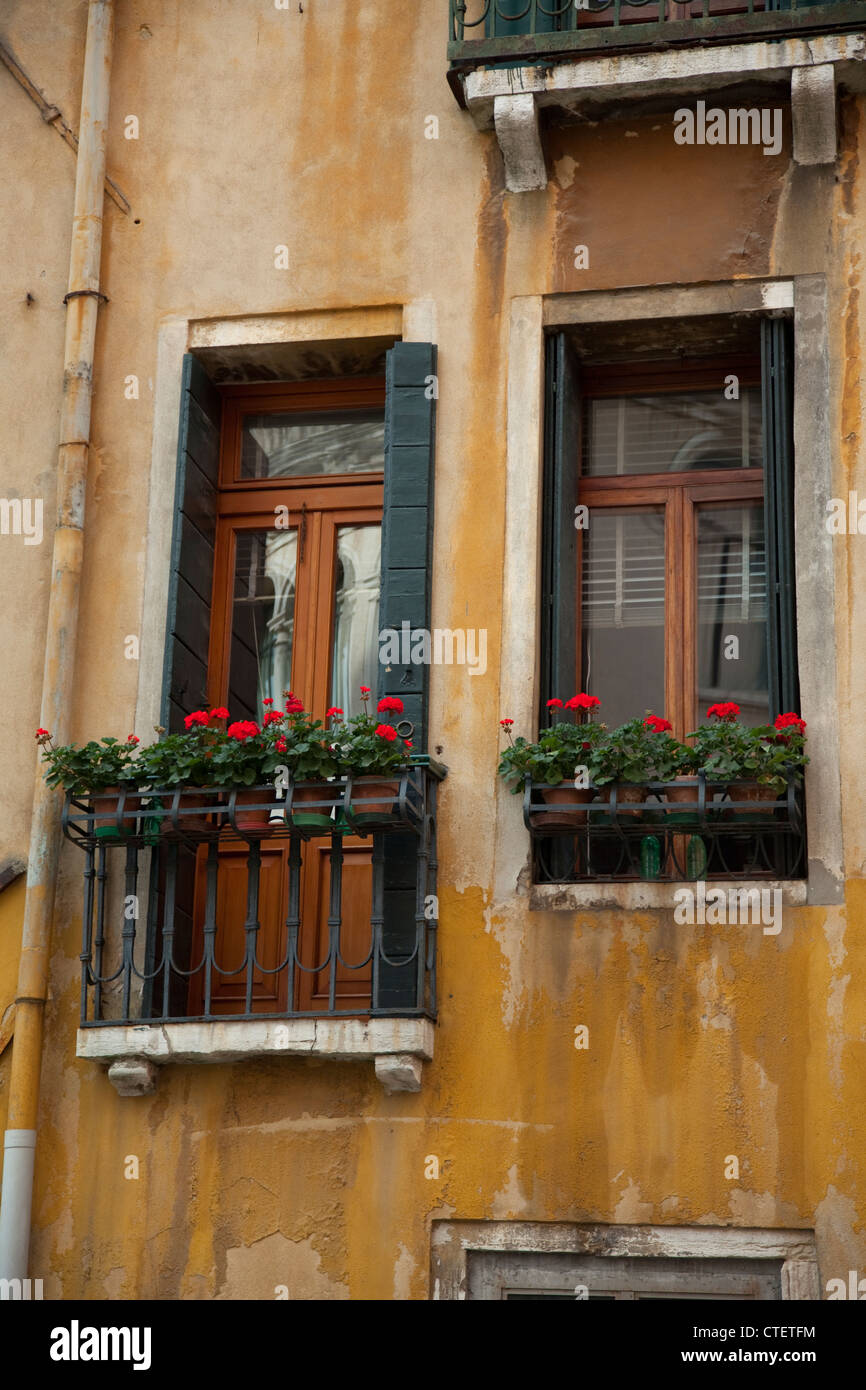 Géraniums rouge de la décoration d'une porte fenêtre et Fenêtre à Venise, Italie Banque D'Images