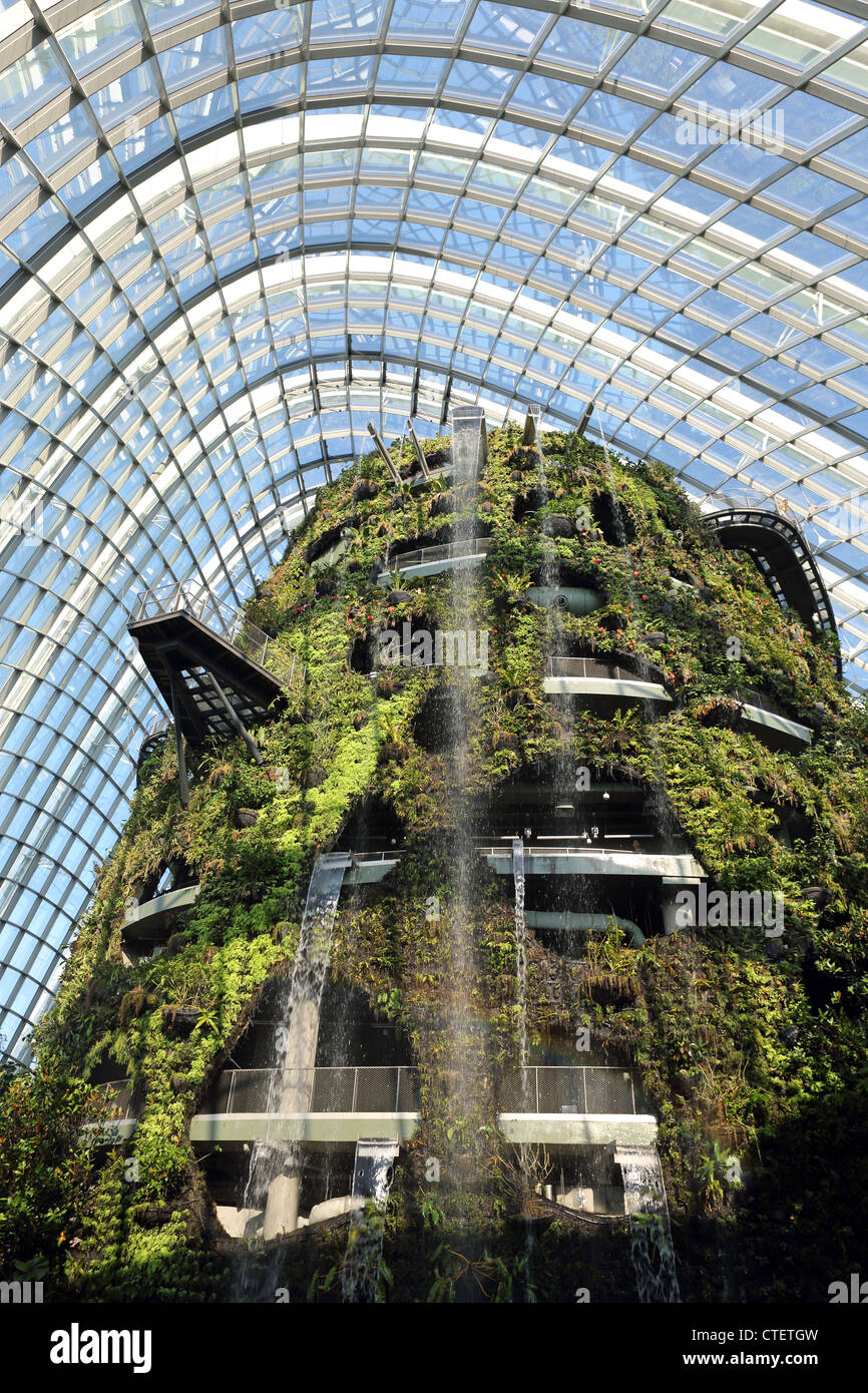 L'intérieur de la cascade de la forêt de nuages d'hiver dans les jardins de la baie de Singapour. Banque D'Images