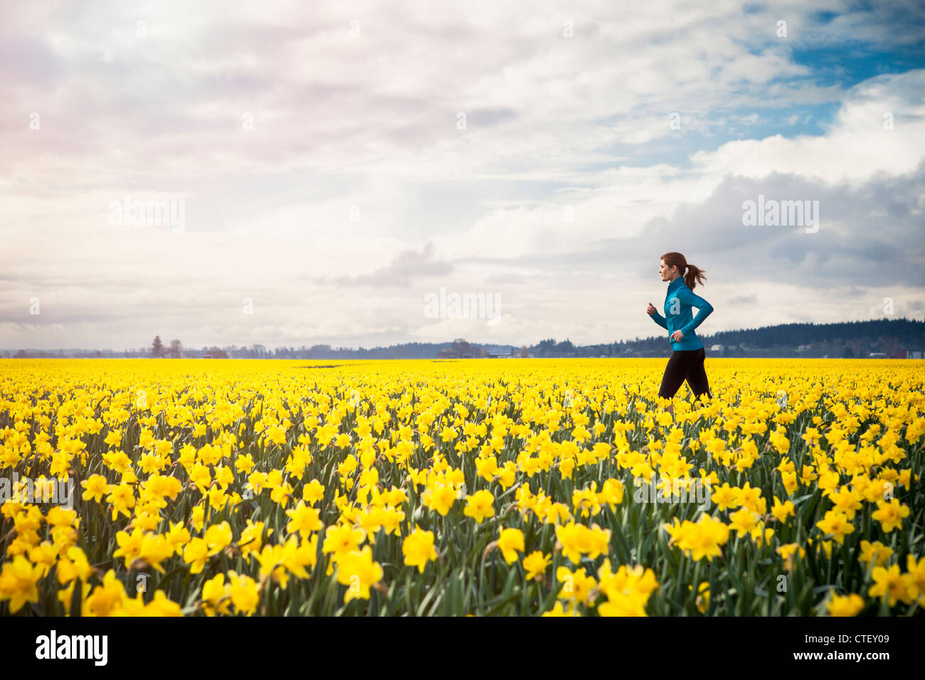 USA, Washington, Skagit Valley, femme qui traverse le champ de la jonquille Banque D'Images