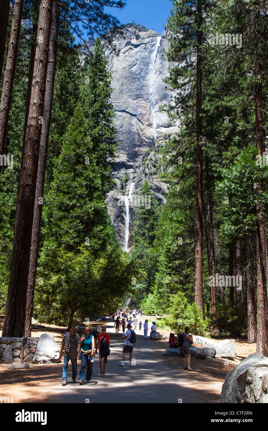 Yosemite Falls, Yosemite National Park, CA, USA Banque D'Images