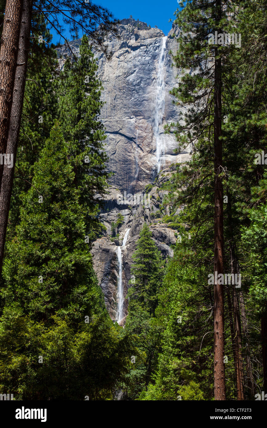 Yosemite Falls, Yosemite National Park, CA, USA Banque D'Images