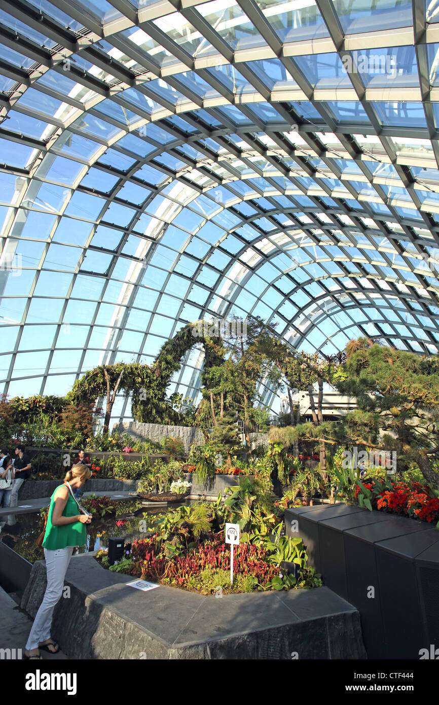 L'intérieur de la forêt de nuages d'hiver dans les jardins de la baie à Singapour Banque D'Images