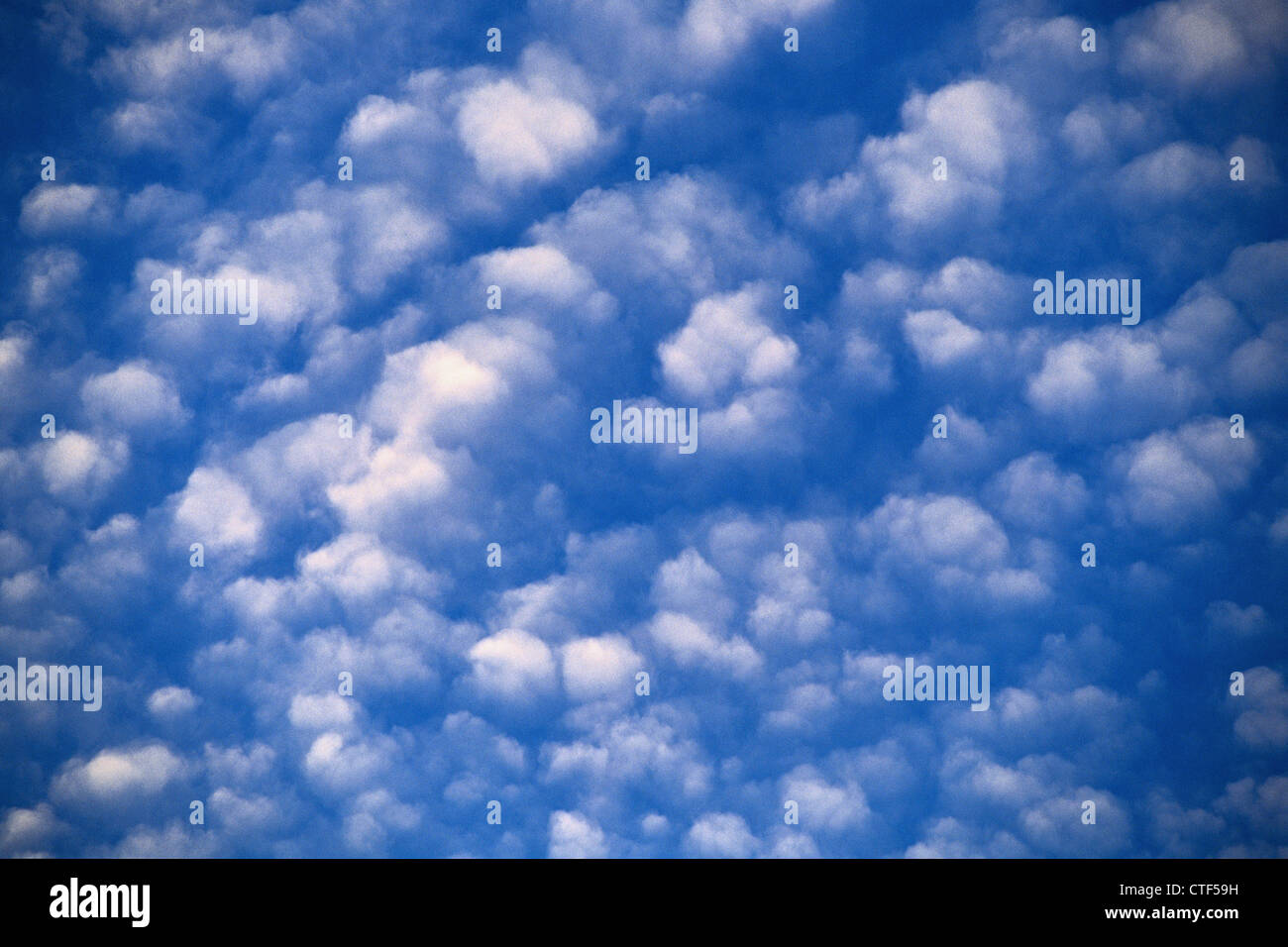 Ciel bleu et nuages cerf Banque D'Images