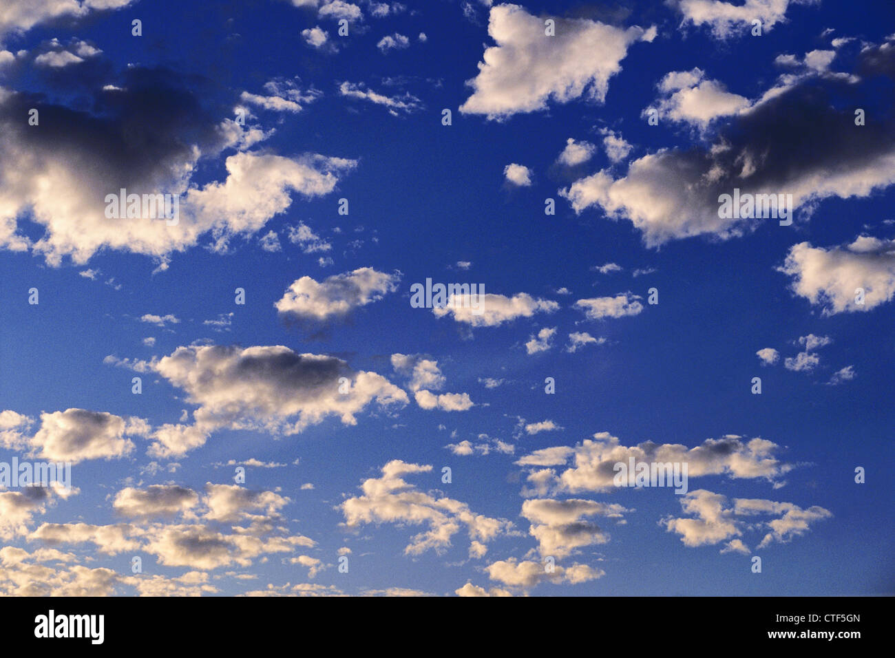 Ciel bleu et nuages cerf Banque D'Images