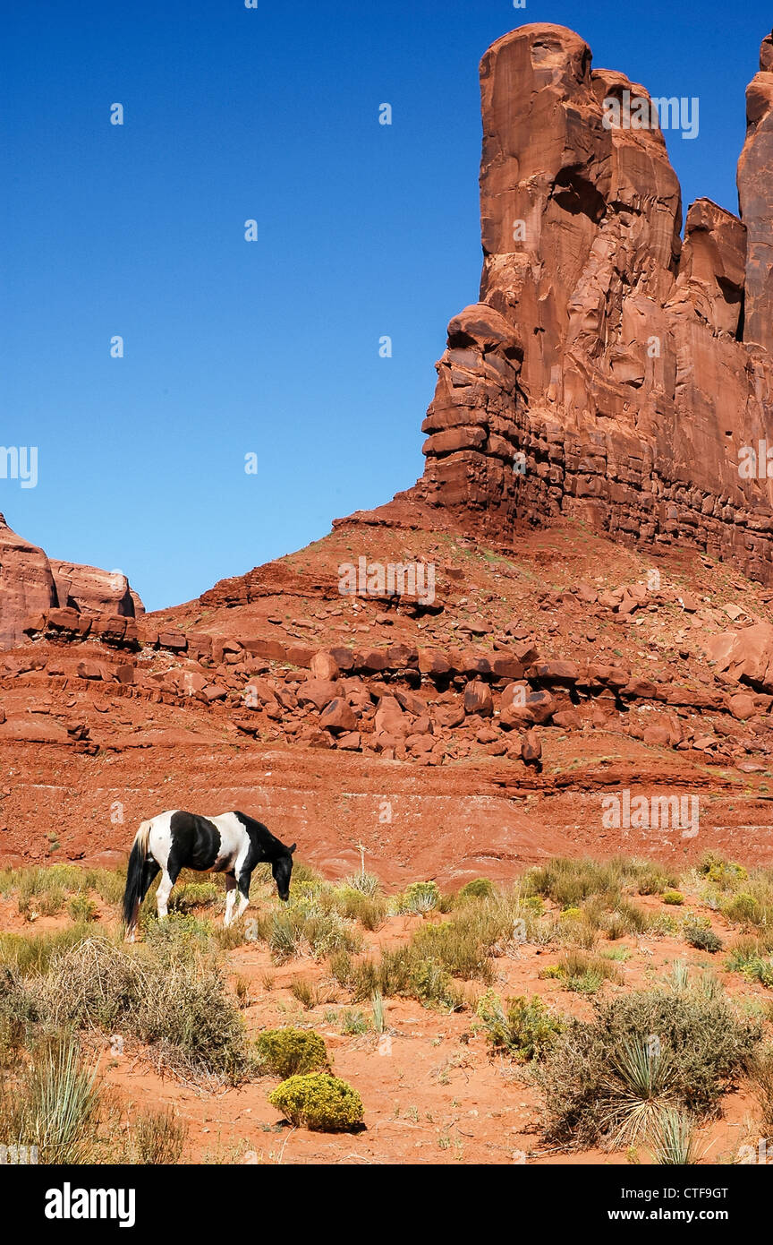 Un cheval en face d'une des formations de roche rouge à Monument Valley Banque D'Images