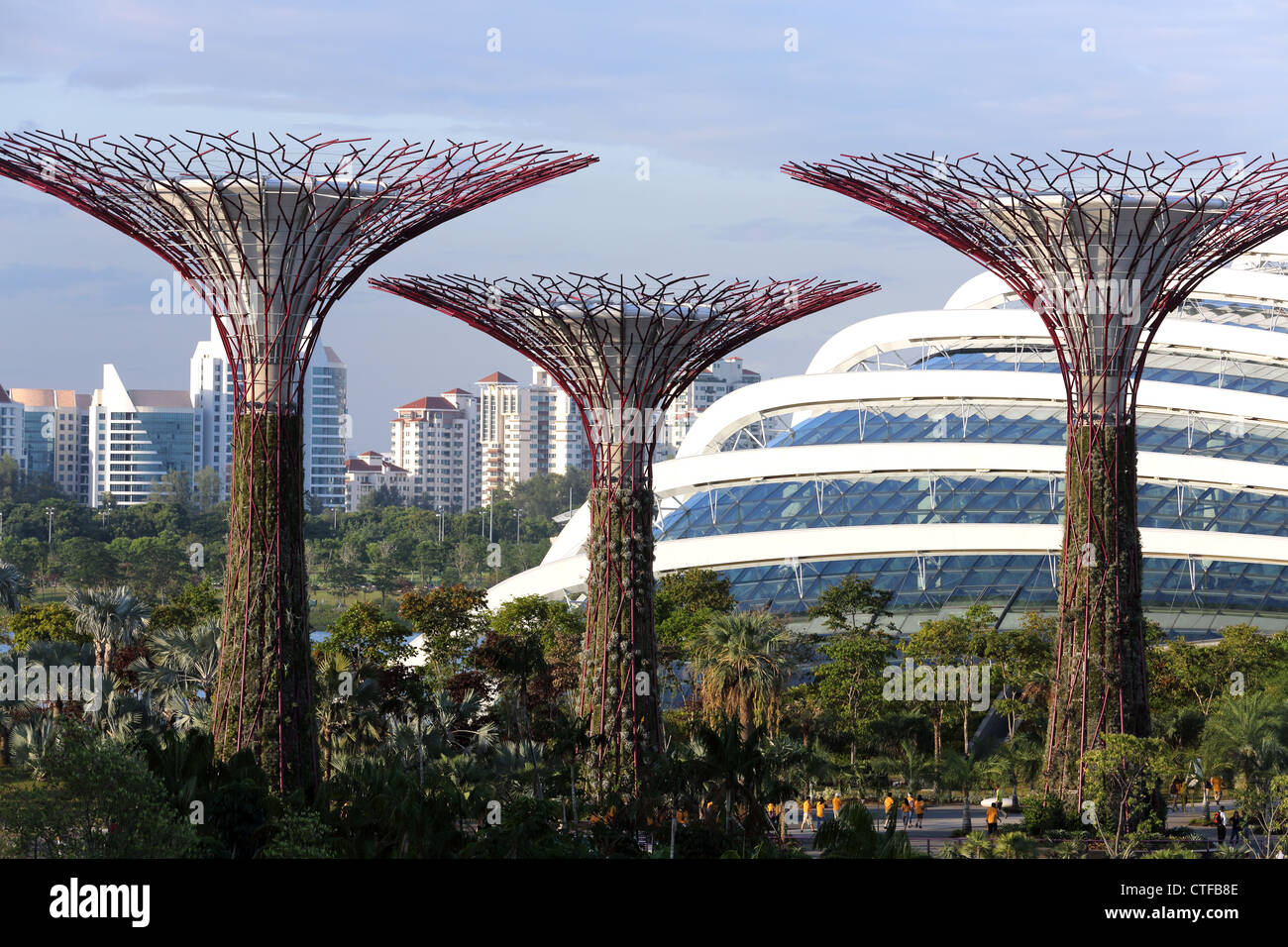 Supertrees en face du Dôme de fleurs dans les jardins du conservatoire par le Bay à Singapour Banque D'Images