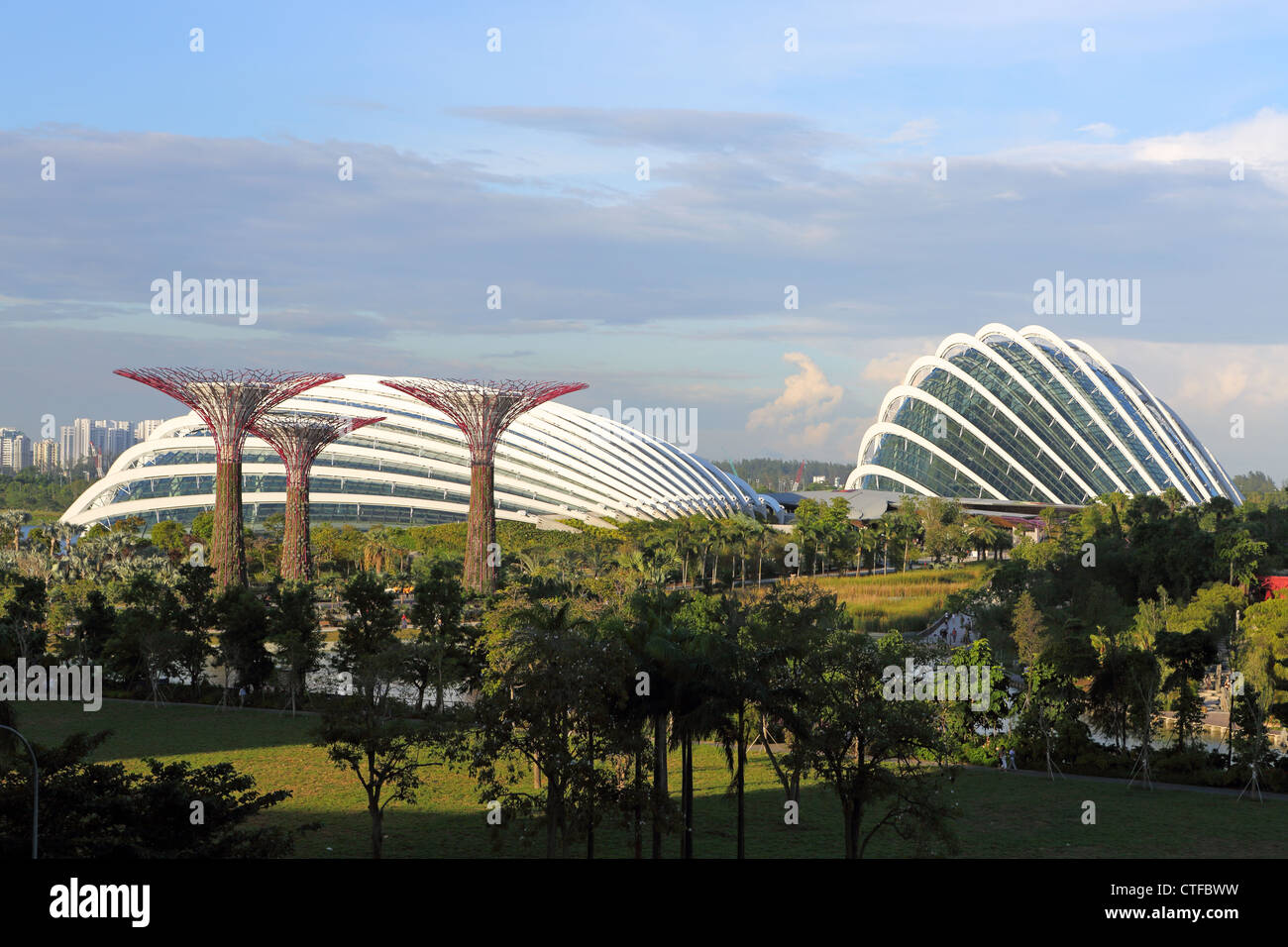 Gardens By The Bay à Singapour y compris Supertrees, et le dôme de fleurs et de nuages Jardin conservatoires. Banque D'Images