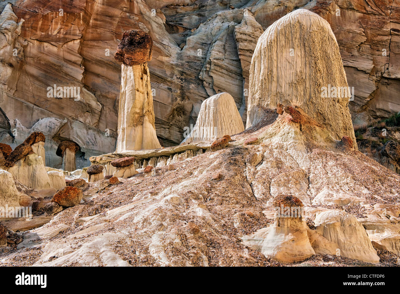 Les cheminées de toutes les tailles et formes sont trouvés le long de la laver à Wahweap Utah's Grand Staircase Escalante National Monument. Banque D'Images