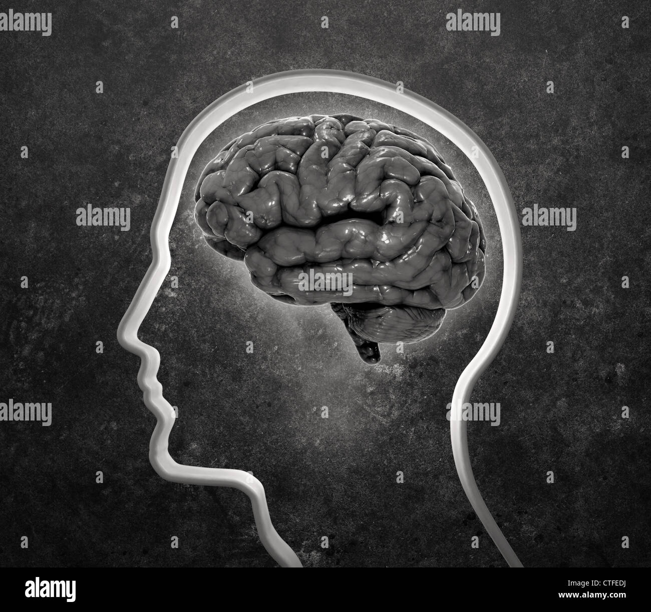 Silhouette 3D d'un visage masculin avec un cerveau à l'intérieur Banque D'Images Silhouette 3D d'un visage masculin avec un cerveau à l'intérieur Banque D'Images