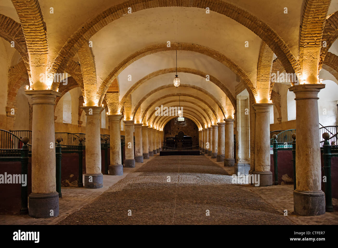 Intérieur voûté du 16ème siècle, Écuries Royales à Cordoue, Andalousie, espagne. Banque D'Images