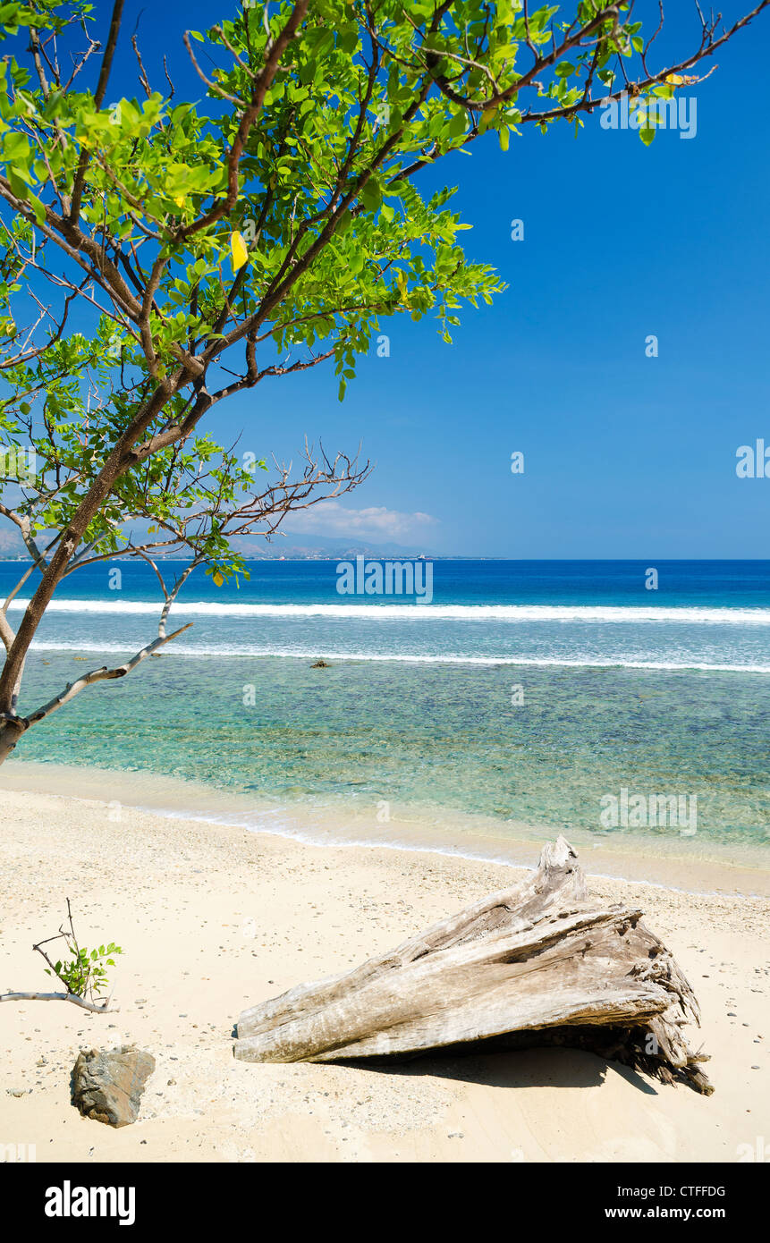 Areia branca beach près de Dili au Timor oriental, au Timor Leste Banque D'Images