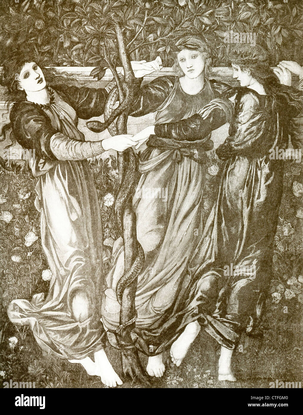 La Garde côtière canadienne le jardin des Hespérides donné à Héra, la reine des dieux, par Gaia, la Terre Mère, comme un cadeau de mariage à Héra et Zeus. Banque D'Images