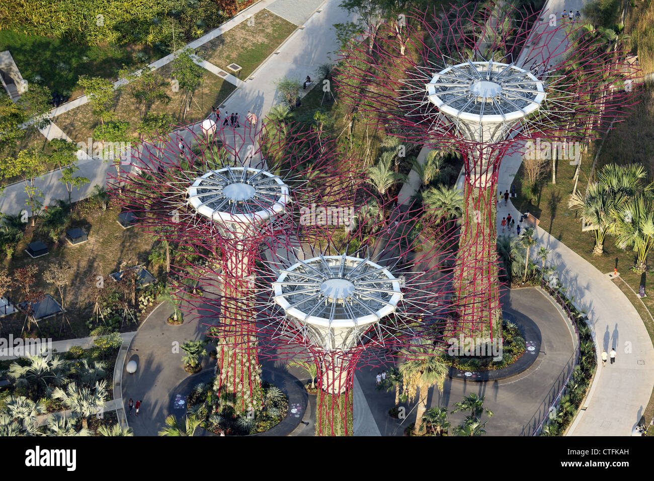 Vue aérienne de jardins à Supertrees par la baie de Singapour. Banque D'Images