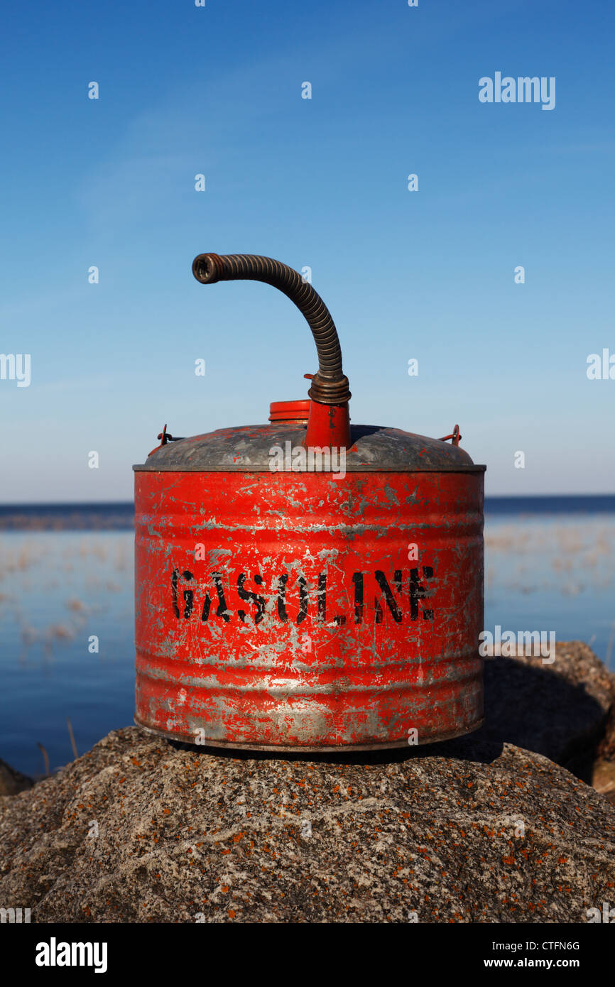 Une vieille essence peut s'asseoir sur un rocher. Banque D'Images