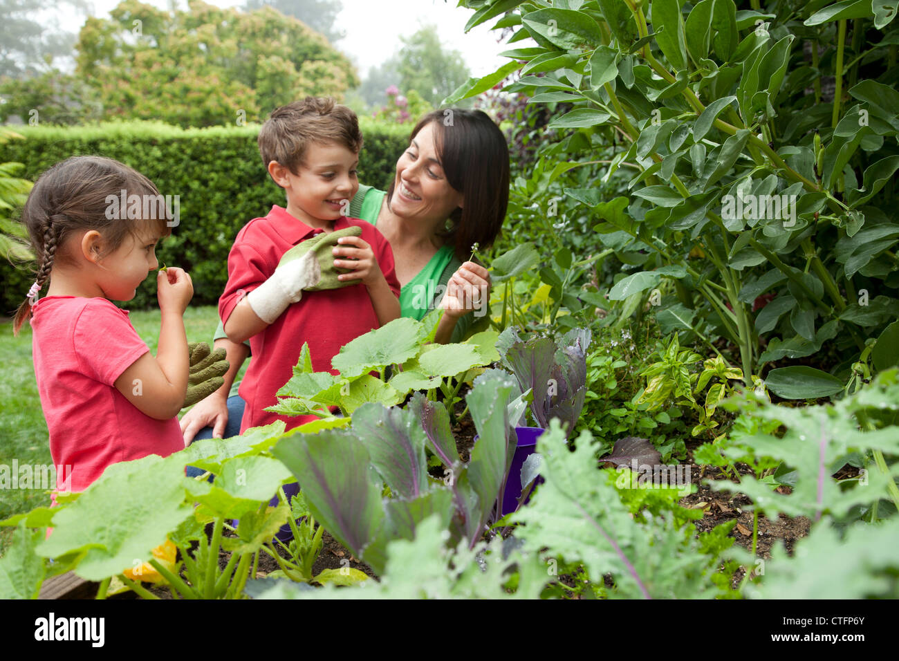 Une mère et ses deux enfants cherchent à les plantes dans un jardin. Banque D'Images