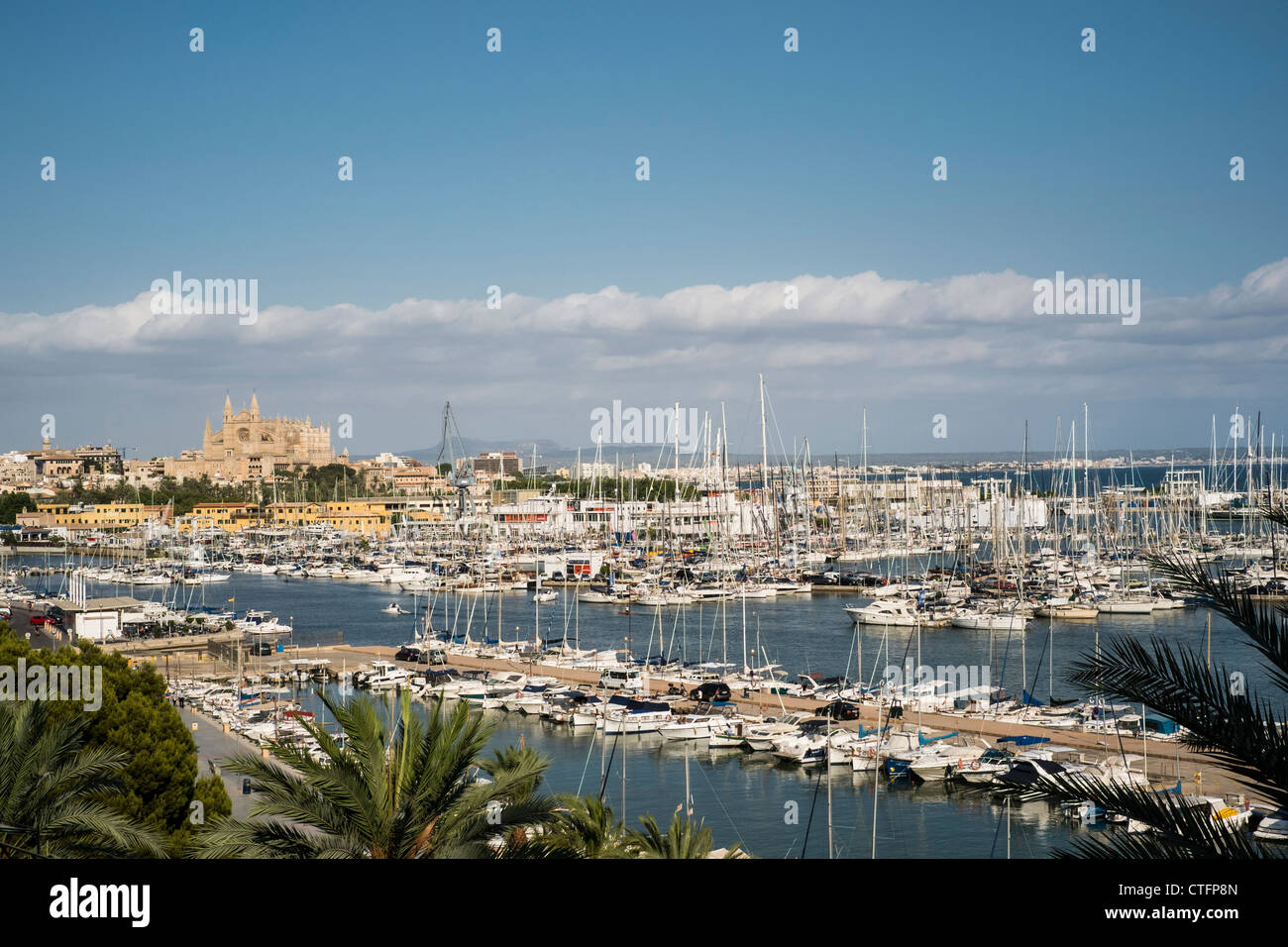 Vue sur le port et la Cathédrale, Palma, Majorque, Espagne. Banque D'Images