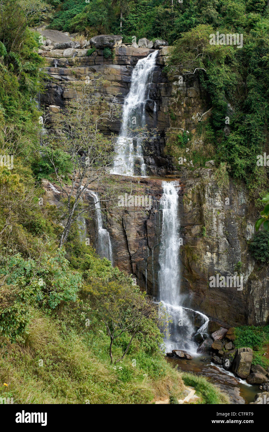 Ramboda Falls, montagne de Sri Lanka Banque D'Images