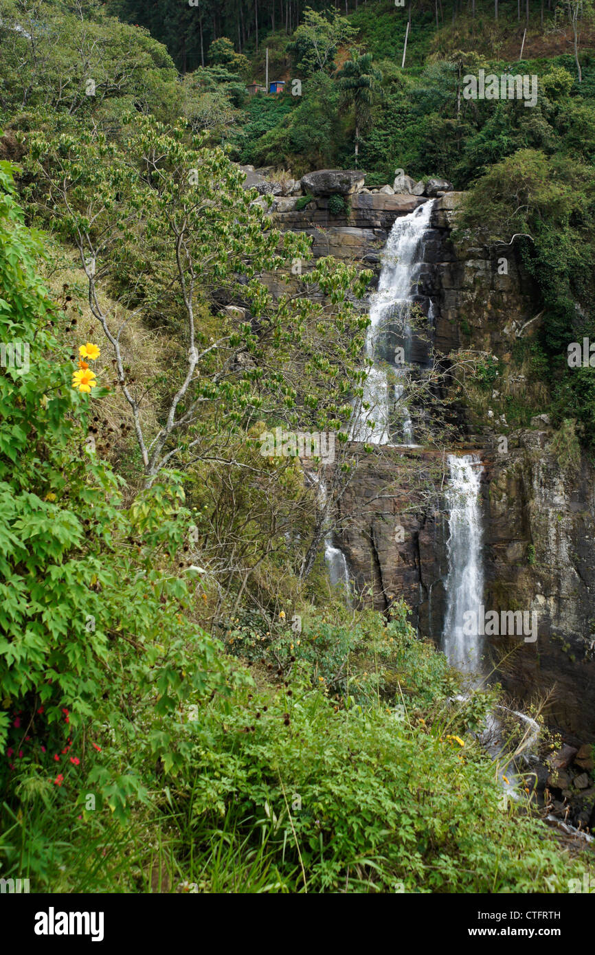 Ramboda Falls, montagne de Sri Lanka Banque D'Images