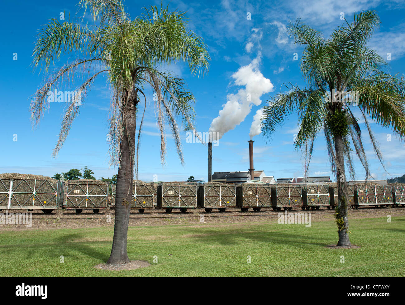 Moulin à Sucre Tully en action au cours de l'écrasement du temps de Juin à Novembre à Tully, Queensland, Australie Banque D'Images