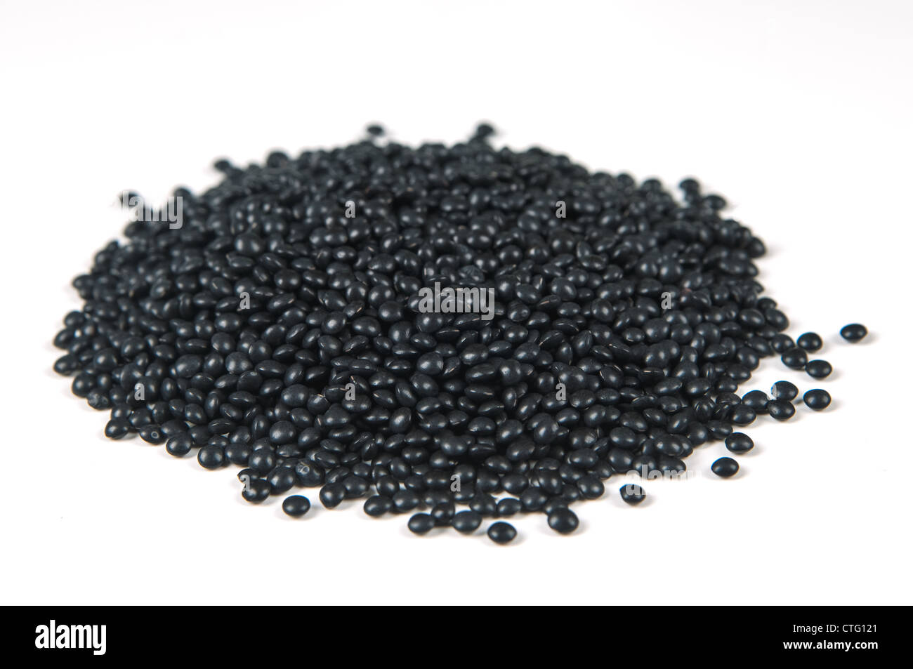 Beluga-lentilles, isolé sur fond blanc Banque D'Images