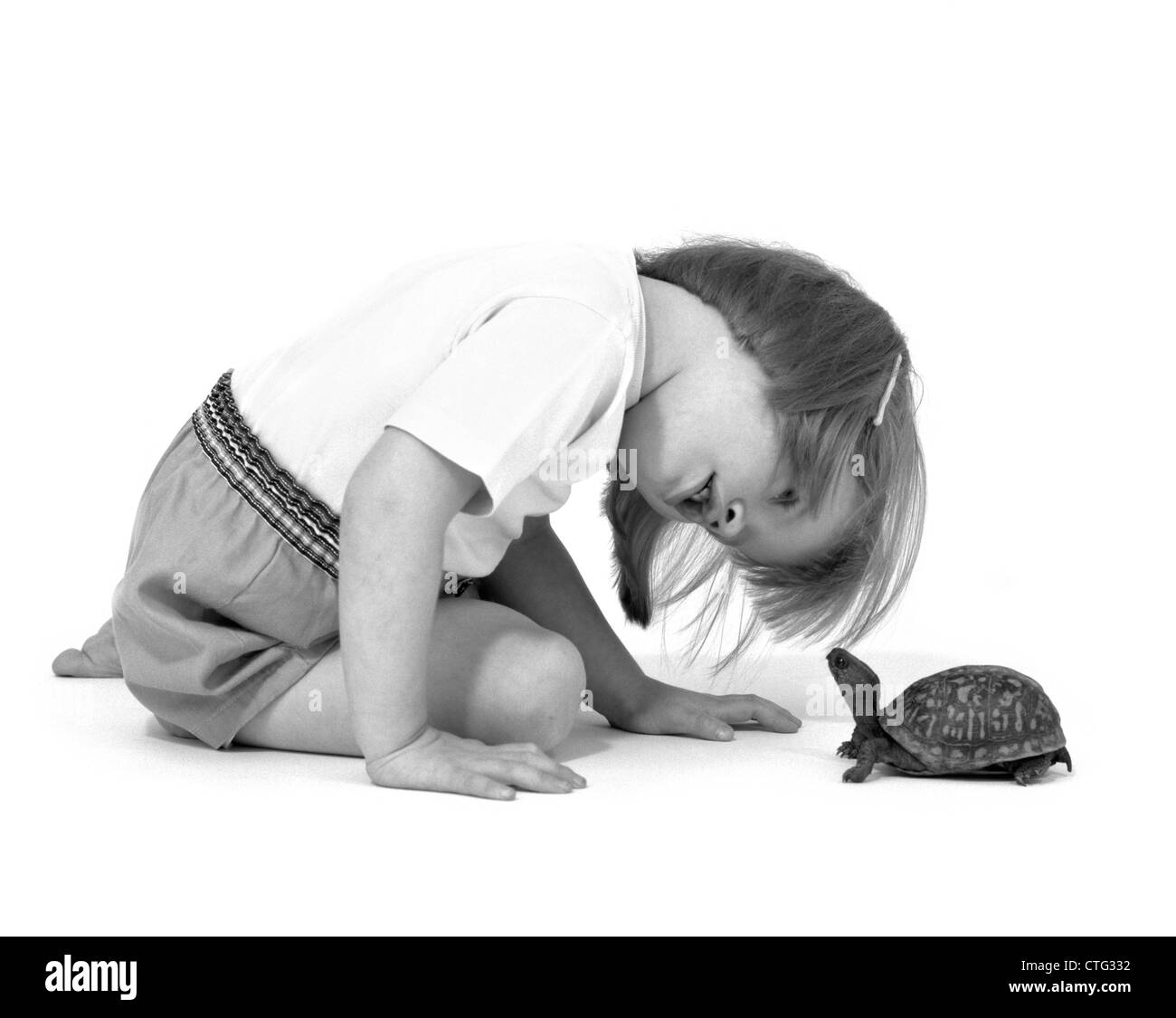 1960 GIRL BOX TURTLE Banque D'Images