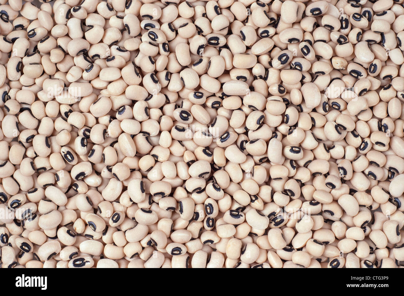 Close up of black-eye-beans Banque D'Images