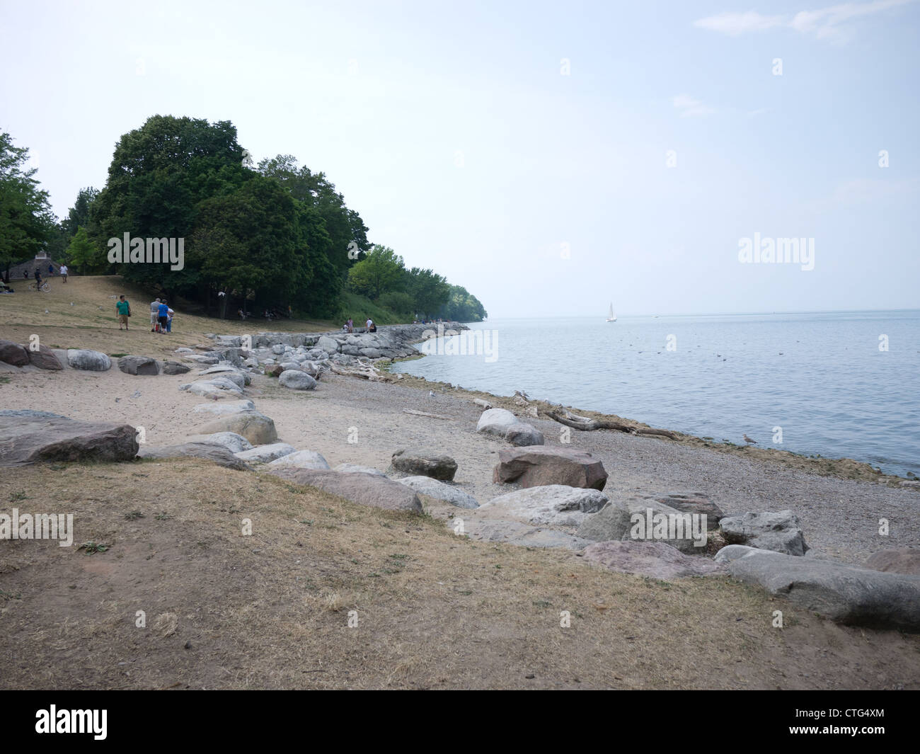 Plage de sable du lac rock tree Banque D'Images