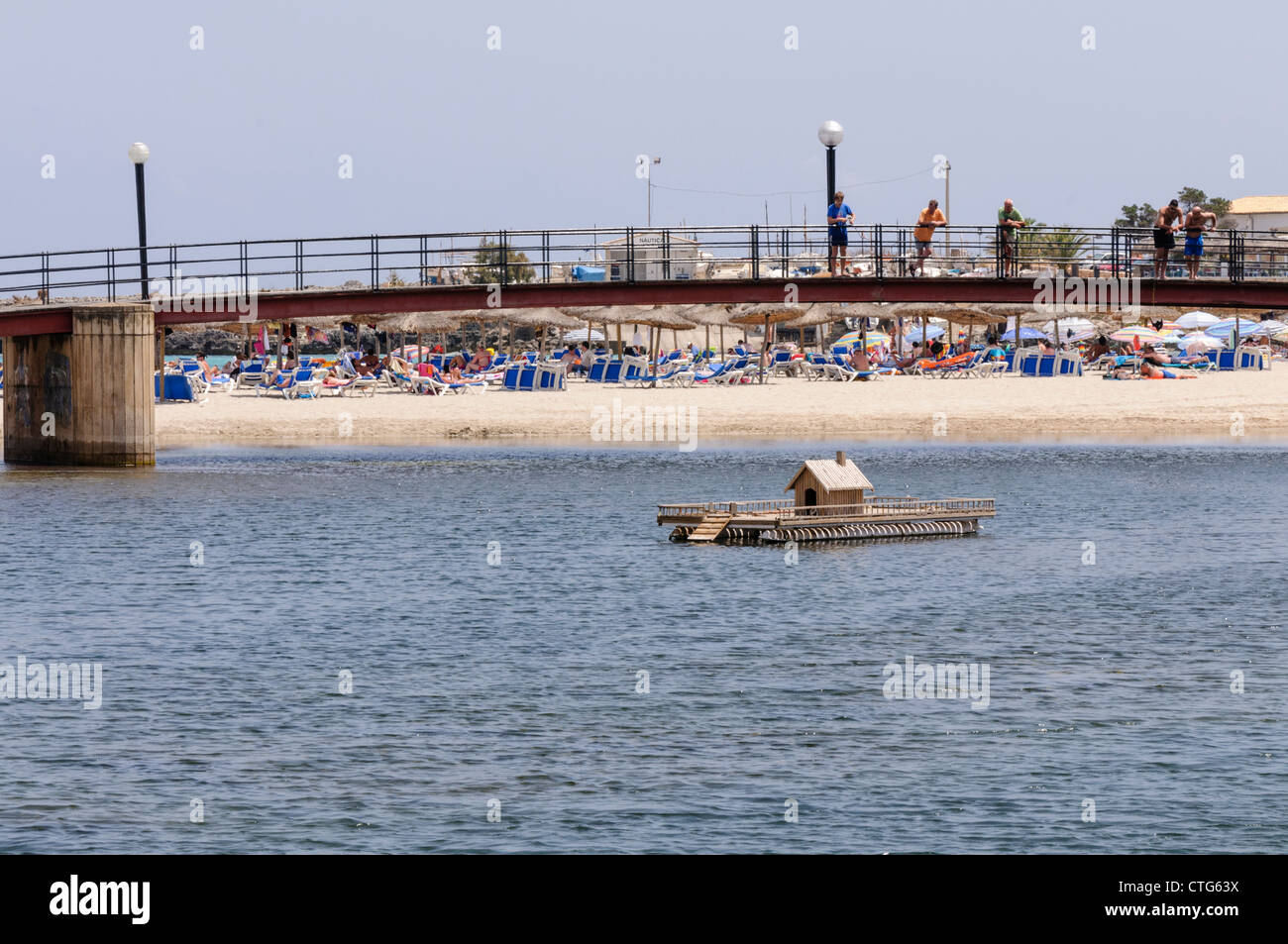 Canard flottant interne par un pont à côté d'une plage à la maison. canard de Barbarie local Banque D'Images