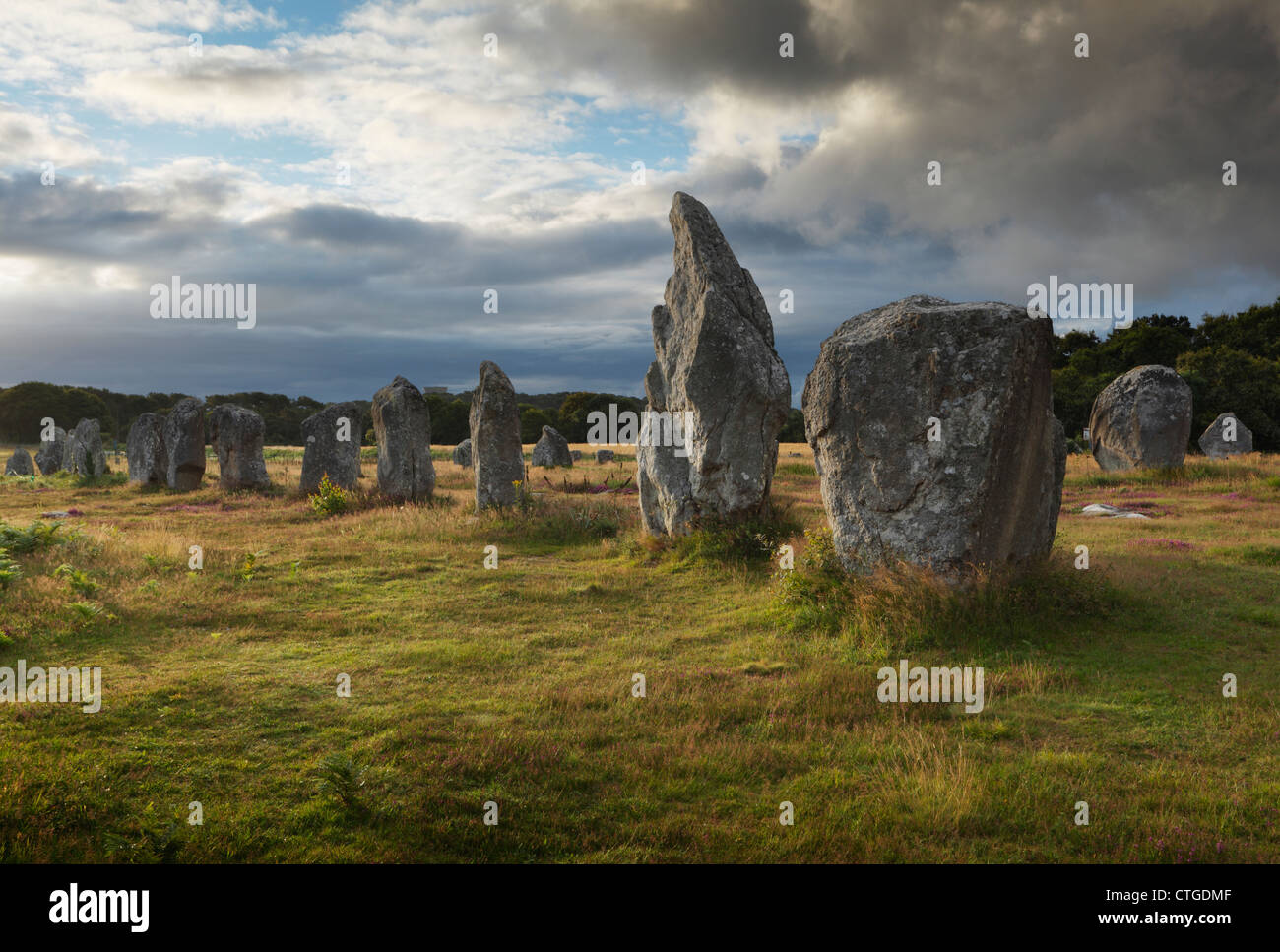 Alignements de Kermario. Les Alignements de Carnac. Carnac. La Bretagne