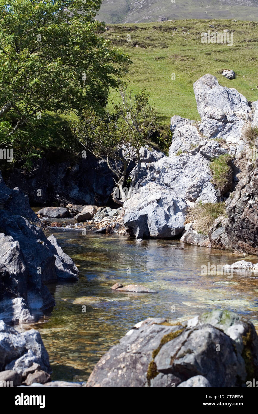 Rowan arbres par les rives de l'Allt an t Stratha Bhig Braodford Torrin près de l'île de Skye Ecosse Banque D'Images