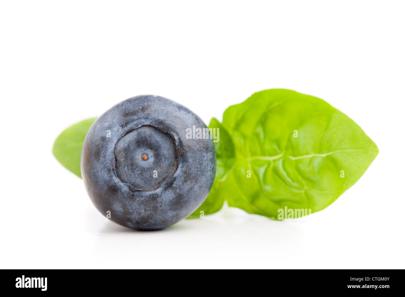 Blueberry de feuilles de menthe sur blanc Banque D'Images
