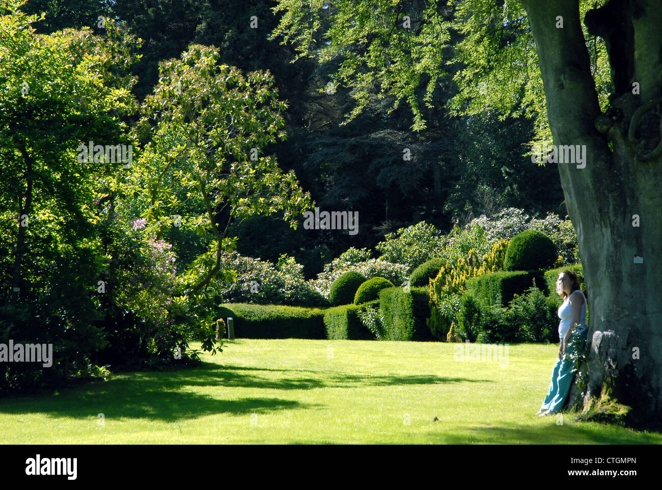 Une femme jouit d'un cadre magnifique à l'Hergest Croft Gardens à Kington, Herefordshire. Banque D'Images
